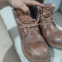 کفش|کیف، کفش، کمربند|ازنا, |دیوار