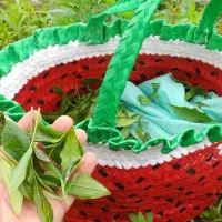 فروش انواع tea ارگانیک در شرق گیلان