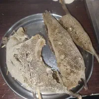 عسل کنار با شاخه|خوردنی و آشامیدنی|تهران, جیحون|دیوار