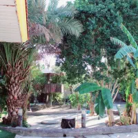 ویلا-باغ-جنگلی