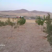 فروش باغ به مساحت ۱۰۰۰متردرحاجی اباد