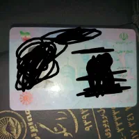 کار ملی گم شده سجاد نراقی