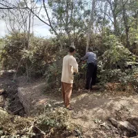 ویزیت باغ در دماوند، فیروزکوه و لواسان