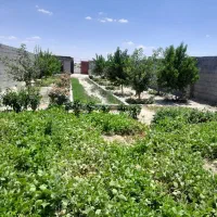 باغ-فروشی-در-روستای-جوغان-به-مساحت-400متر