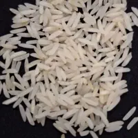 برنج هاشمی درجه یک وکشت دو|خوردنی و آشامیدنی|قم, طلاب غیر ایرانی|دیوار