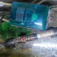 آکواریوم شیشه خم با تمام تجهیزات|ماهی|کاشان, سلطان امیر احمد|دیوار