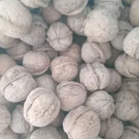 فروش پنجاه کیلو گردو مخلوط مغز سفید و فسنجونی