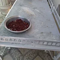 فروش سه لنگه تخت فلزی محکم