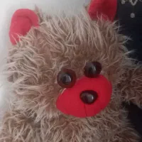 خرسپولیشی|اسباببازی|قم, پردیسان|دیوار