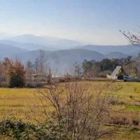 فروش زمین چسبیده ب جنگل