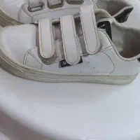 کفش ونس چسبی سایز۳۱|کفش و لباس بچه|کاشان, کارگر|دیوار