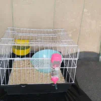 قفس|لوازم جانبی حیوانات|اراک, |دیوار