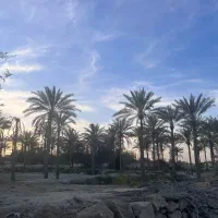 سرمایه گذاری امن و سود اور در جزیره قشم