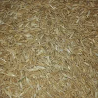 گندم|خدمات باغبانی و درختکاری|قیدار, |دیوار