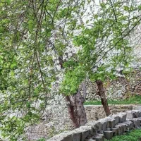 باغ کن ۳۵۰۶متر کنار رودخانه|فروش زمین و ملک کلنگی|کن, |دیوار