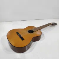 گیتار آریا SP2