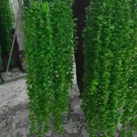 ریسه آویز شمشاد مصنوعی،|گل مصنوعی|مشهد, وحید|دیوار