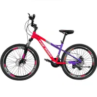 دچرخه ترینکس*فروش ویژه/۲۶