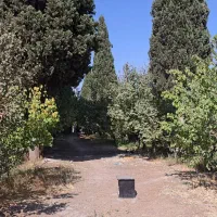 ۱۷۰۰۰ متر باغ با بنای قدیمی ۵۰ ساله