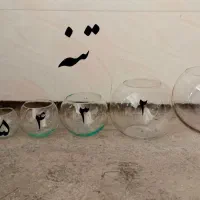 فروش عمده تنگ ماهی