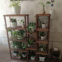 استند گل با گل و گلدان