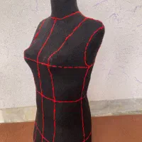 مانکن سوزن خور