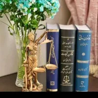 وکیل پایه یک دادگستری (خانم )