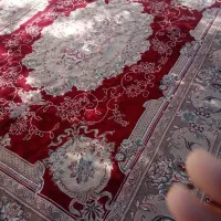 قالی 12متری نگین ابریشم کاشان 500شانه در شهرضا|فرش|اصفهان, شهرستان|دیوار