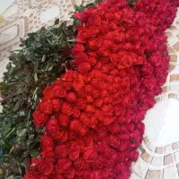 گل رزعمده برای دسفردشان و مغازه دارهابا قیمت ارزان