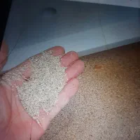 بذر کشاورزی