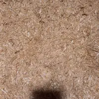 کاه جو|لوازم جانبی حیوانات|خواجه, |دیوار