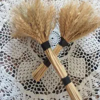 گندم|گل و گیاه طبیعی|قم, نخودی|دیوار