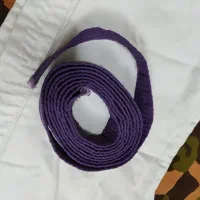 کمربندبنفش وروپایی،بلوزکاراته