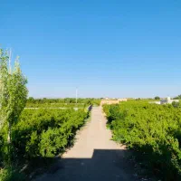 باغ-خونه-باغ-باغچه