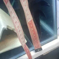 لجن خوار وارداتی