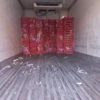 یخچال ایسوزو|قطعات یدکی و لوازم جانبی|شیراز, بهارستان|دیوار
