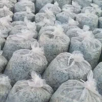 فروش تفاله چغدر