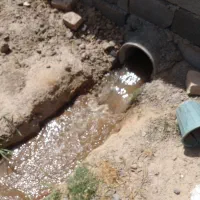 باغچه چهار دیواری|فروش خانه و ویلا|تهران, شهرک شریفی|دیوار