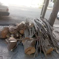 خریدانواع چوب باغی وارس باغ بابالاترین قیمت|خدمات باغبانی و درختکاری|گنبد کاووس, |دیوار