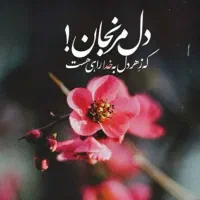 انجام امور حقوقی و اداری، مشاوره کیفری و خانوادگی|خدمات مالی، حسابداری، بیمه|بابلسر, |دیوار