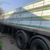 ام دی اف  ملامین سفید رنگی. پالتی .نقد و چک صیادی|عمده‌فروشی|رشت, کوی امام رضا|دیوار