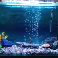 فروش یک عدد شیشه آکواریوم