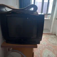 تلوزیون