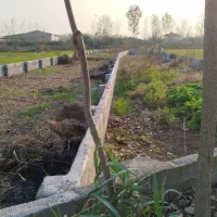 فروش فوری زمین|فروش زمین و ملک کلنگی|رودبنه, |دیوار