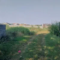 فروش فوری زمین  باغی