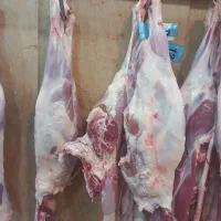 استخدام راننده با وانت پراید یا نیسان یخچالدار
