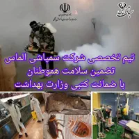 سمپاشی ساس موش سوسک بامجوز وضمانت کتبی 100٪|خدمات نظافت|فردیس, فردیس|دیوار