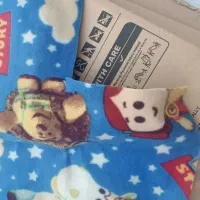 موکت عروسکی|موکت|نسیم‌شهر, |دیوار