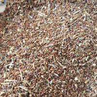 بذر یونجه درجه 3