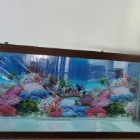 آکواریوم سفارشی بزرگ اکواریوم شیشه 10 میل